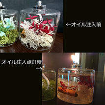 ★ムラエ/ハーバリウムランプ（Herbarium Lamp）GT-242GR★ブリザードフラワーがおしゃれで可愛い！オイルランプ 癒しの明かり♪_画像2