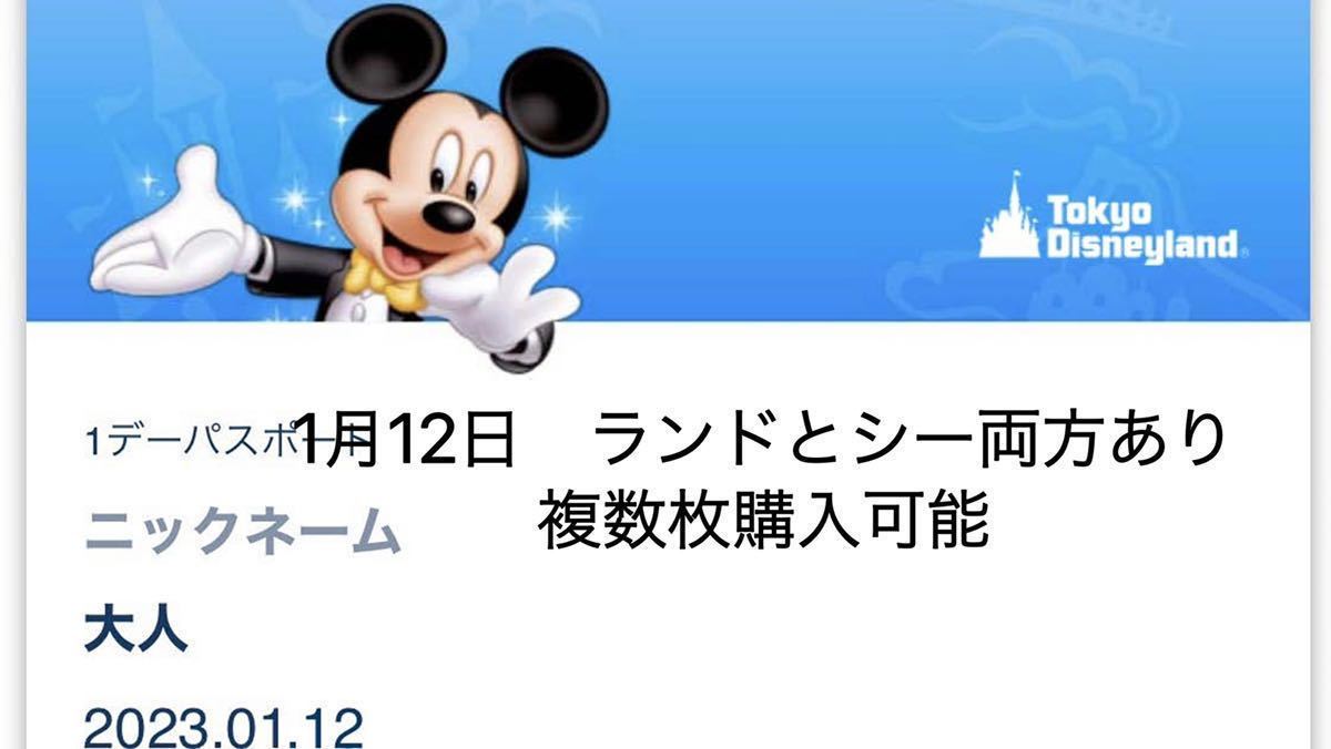 12月18日 土 ディズニーランド Eチケット 大人2枚 1dayチケット 12 18 クリスマス Daunbiru Co Id