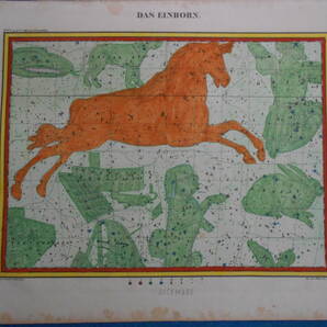 即決1835年ドイツ『ホッフマン星図第5c図』星座早見盤、天文暦学書、アンティーク、Astronomy, Star map, Celestial chart, Planisphere