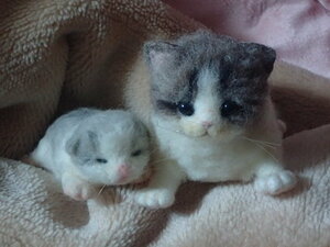 < post-natal 2~3 months > wool felt . cat *....* hand made . cat . cat 