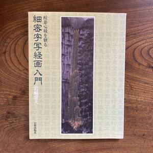 M < 般若心経を観る 細密字写経画入門 / 岩崎常夫 >