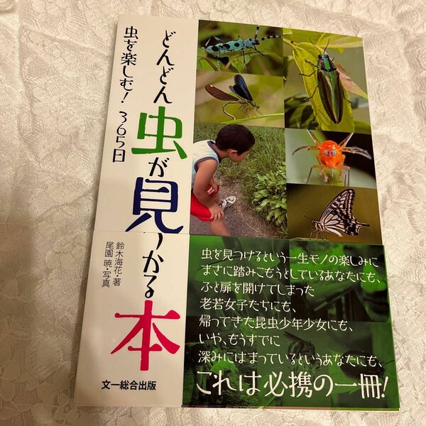 どんどん虫が見つかる本　虫を楽しむ！３６５日 鈴木海花／著　尾園暁／写真