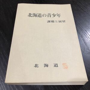 ち10 北海道の青少年 課題と展望 昭和42年8月発行 学校 教育 勤労青少年 家庭 地域活動 生徒 子供 道徳 児童 福祉活動 資料 テキスト 活動