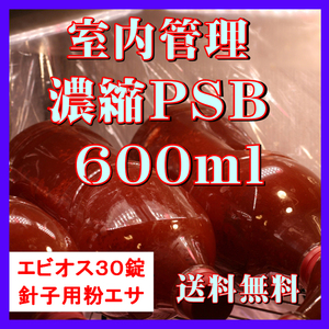 ★送料無料★ 室内管理濃縮培養PSB600ml＋エビオス30錠＋培養説明書＋針子用粉エサ　光合成細菌　水質調整、バクテリア