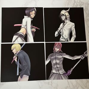 BLEACH ブリーチ 平子真子 CD カード ザエルアポロ ウルキオラ ルピ