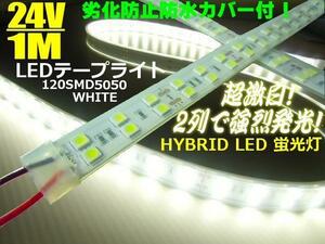 メール便可 劣化防止 防水カバー付 2列発光 LEDテープライト 蛍光灯 LEDライト 24V 1M 白/ホワイト 照明 船舶 トラック A