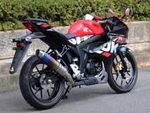 新品 WR’S GSX-R125/GSX-S125 2022～ (8BJ-DL32D) ラウンド(真円)タイプ フルエキ 焼き色チタンサイレンサー LS3140JM ダブルアールズ_画像5