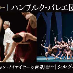ハンブルク・バレエ団 2023年日本公演〈ジョン・ノイマイヤーの世界〉 Edition 2023  2023年3月2日(木) 〜 2023年3月12日(日) A席 1枚の画像1