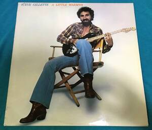 LP●Steve Gillette / A Little Warmth USオリジナル盤REG79002