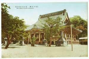 千葉 鴨川 小湊 誕生寺 祖師堂 日蓮宗大本山 カラー