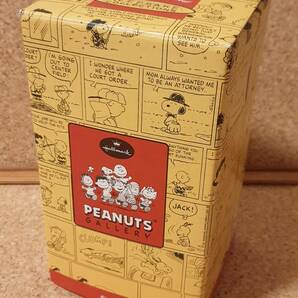 Hallmark PEANUTS GALLERY Linus 2000年 人形 フィギュア ライナス ピーナッツ スヌーピーの画像6