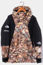 16AW シュプリーム ノースフェイス Mountain Light Jacket Leaves マウンテン ライト ジャケット 枯葉 S BROWN ブラウン NP51601I 国内正規_画像1