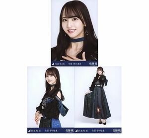 293》乃木坂46 生写真 3枚　コンプ　佐藤楓　乃木坂46 全部 夢のまま　公式グッズ　ヨリチュウヒキ