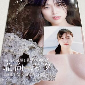 北向珠夕 写真集 サイン入り 写真入り