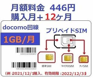 1GB/月★購入月無料+12ヶ月★プリペイドdocomoデータ通信SIM