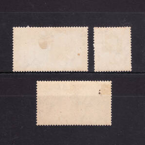 南アフリカ.1947年 英国王族訪問記念切手 ３種完 未使用・NHの画像2