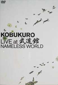 ★コブクロ DVD【KOBUKURO LIVE at 武道館～NAMELESS WORLD～】2枚組 セル版 廃盤