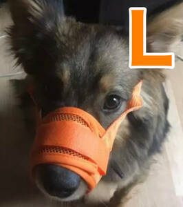  dog for muzzle; ferrule uselessness .. orange L