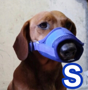  dog for muzzle; ferrule uselessness .. blue S