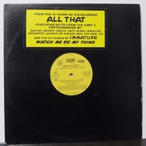 IMMATURE / WATCH ME DO MY THING /US盤/中古12インチ！2845_画像1