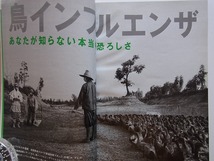 ナショナルジオグラフィック2005年10月号 鳥インフルエンザ ハワイの楽園 ロビンソンクルーソーの家 トラファルガー海戦 北米の先史遺跡_画像4