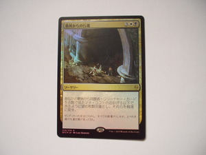 バイン　MTG 墓所からの行進/March from the Tomb foil 日本語1枚