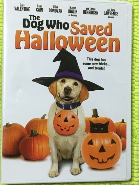 ワンちゃんの実写版＆英語版DVD・The Dog Who Saved Halloween♪