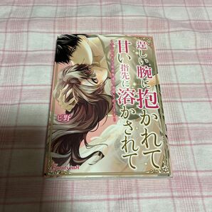 逞しい腕に抱かれて甘い指先に溶かされて 今日も朝まで密着警護で溺愛されてます/ピ野