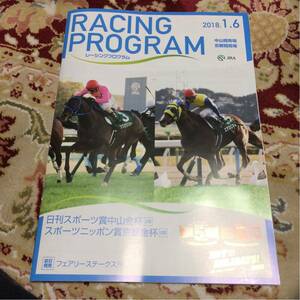 JRAレーシングプログラム2018.1.6、中山金杯(GⅢ)、京都金杯(GⅢ)