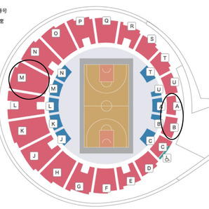 1月21日(土) サンロッカーズ渋谷 vs 三遠ネオフェニックス Bリーグ B.LEAGUE チケット 2枚セットの画像2