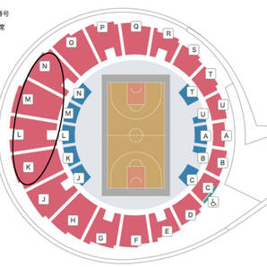 1月21日(土) サンロッカーズ渋谷 vs 三遠ネオフェニックス 2枚セット ペア B.LEAGUE Bリーグ チケットの画像2