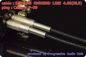 □□ S/A LAB HLS＋RCA Gp_plug（CF09）/0.45m×2本