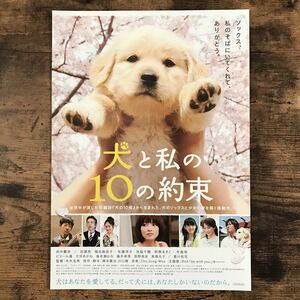 ★★映画チラシ★★『 犬と私の１０の約束 』田中麗奈　加瀬亮　池脇千鶴 /2008年公開/邦画/非売品【N1064】