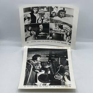 * super rare!!* movie [ new Planet of the Apes ]* large size steel photograph 2 pieces set / photograph / color less / Showa Retro / that time thing / not for sale / hard-to-find 