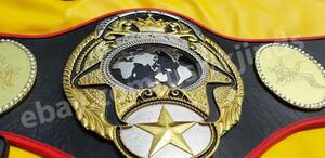  abroad limited goods postage included Professional Wrestling PWF All Japan Pro Wrestling World Tag Champion Champion victory belt high quality replica 5