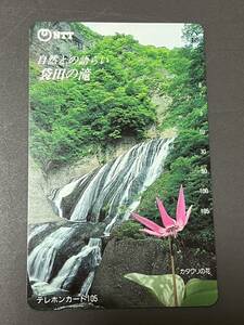 袋田の滝　カタクリの花　自然との語らい　茨城県　テレフォンカード　未使用　105度