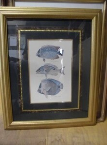 Art hand Auction 絵7728木-魚 約52×62cm, 美術品, 絵画, その他