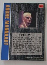 送料84円　K-1●ANDRE MANNAART アンドレ・マナート●格闘技　トレーディングカード　6,5㎝×9㎝　美品_画像3