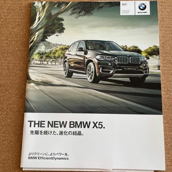 BMW F15 X5 2013 カタログ