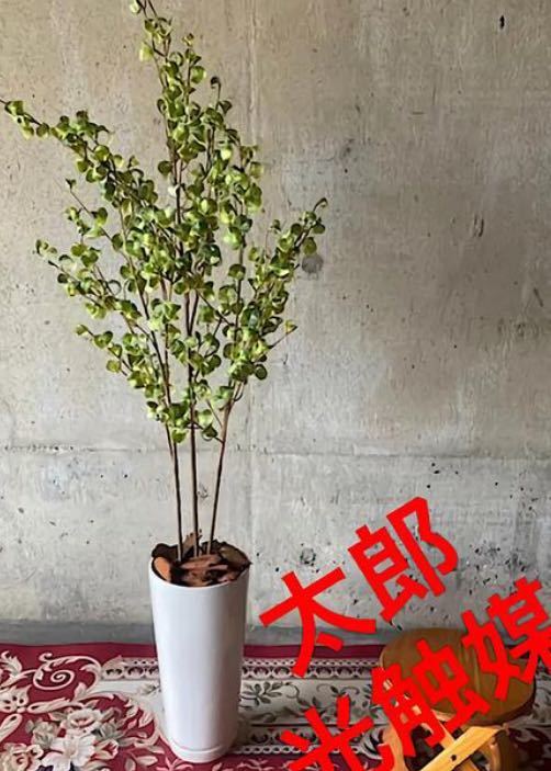 光触媒 人工観葉植物 ウォールグリーン フェイク フラワー ハンドメイド ベンジャミンバロック