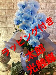 光触媒　人工観葉植物　ウォールグリーン　フェイク　フラワー　リアル胡蝶蘭bl