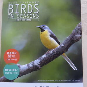 2023 野鳥カレンダー「BIRDS IN SEASONS」日本野鳥の会 定価1210円 ポストカードとしても使えます の画像1