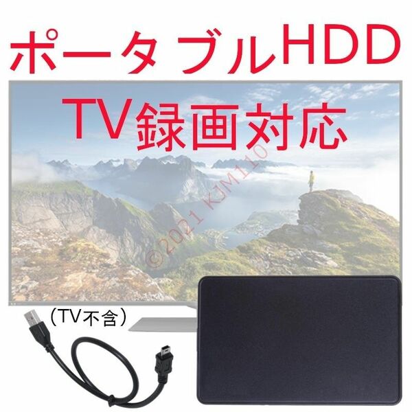 【TV録画対応】 250GB 検査済 正常品 ポータブルHDD