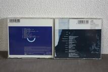 【値下】[名盤] underworld /(Second Toughest In The Infants 弐番目のタフガキ/Beaucoup Fish) 国内2枚セット 送料210円(4枚まで対応)_画像2