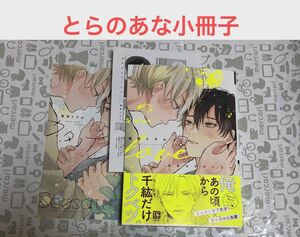 カタコイシーソー　宮田トヲル　とらのあな　小冊子