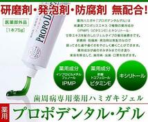 プロポリス 歯磨き粉 研磨剤なし 歯槽膿漏 電動歯ブラシ用 研磨剤 歯磨き 研磨剤不使用 歯磨きジェル プロポデンタル・ゲル(75g)1本 歯周_画像2