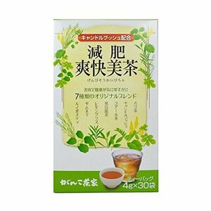 がんこ茶家 減肥爽快美茶 30袋 × 3個セット