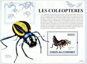 コモロ切手『昆虫』2009