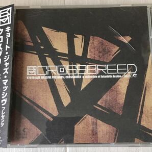 帯付 CD / KYOTO JAZZ MASSIVE PRESENTS ; CROSSBREED -a collection of futuristic fusion- / Brazilian Acid Jazz Funk /の画像1