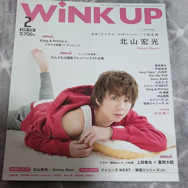 WINK UP(ウインクアップ) 2019年2月号 (ワニブックス)